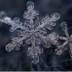 Meet your Posher, Mimicamilleri